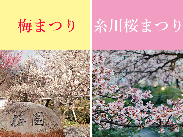 熱海梅園 梅まつり/糸川 桜まつり