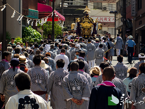 来宮神社例大祭 熱海こ゚がし祭り