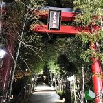 来宮神社大晦日