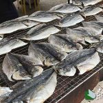 網代温泉ひもの祭り