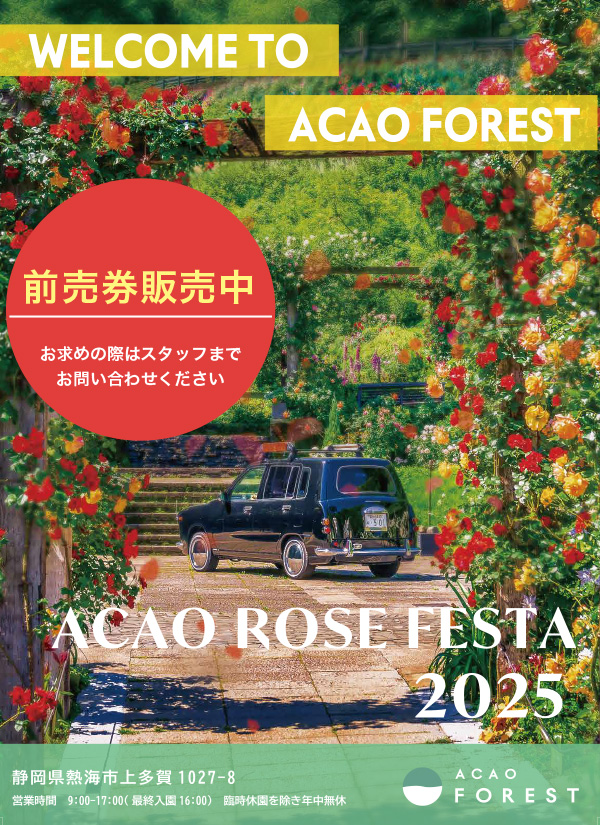 ACAO ROSE FESTA 2025