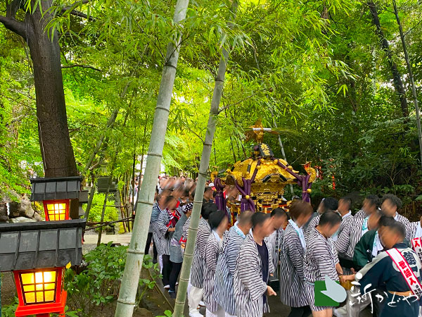 こがし祭り2025宮神輿渡御