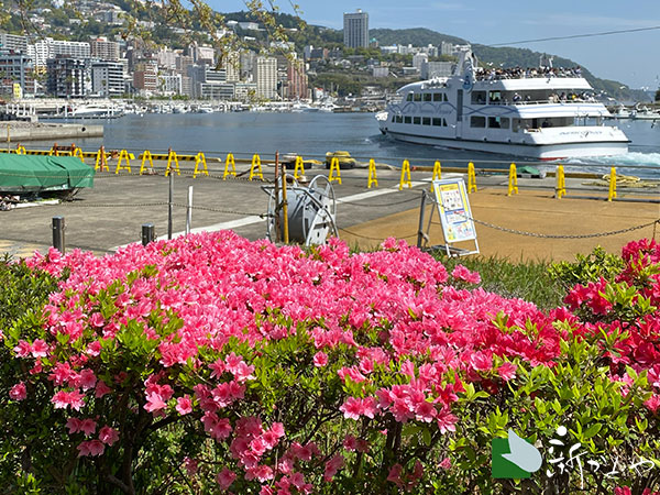 熱海サンレモ公園